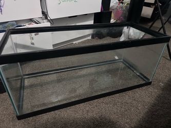 Aquarium tank