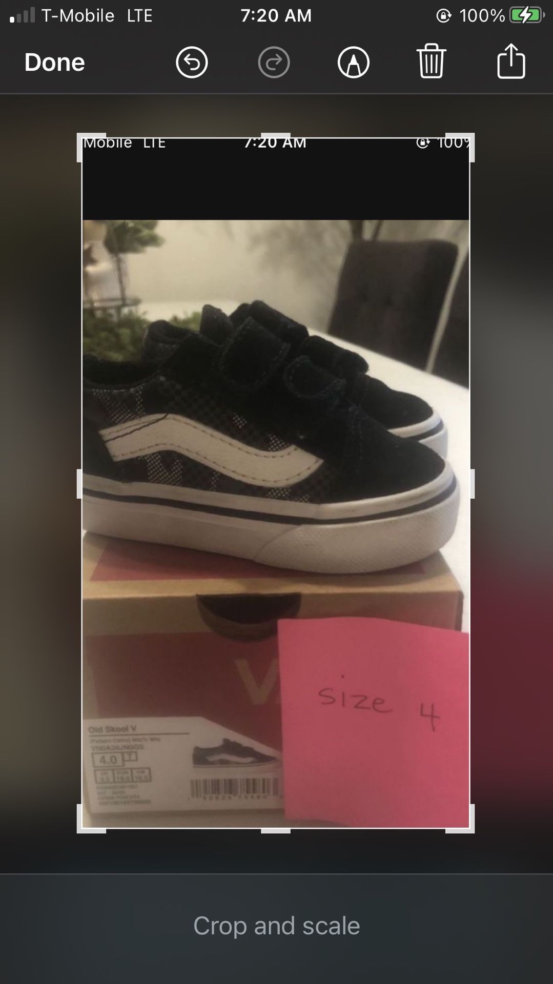 Boys Toddler New Vans.see Sizes $10 Each