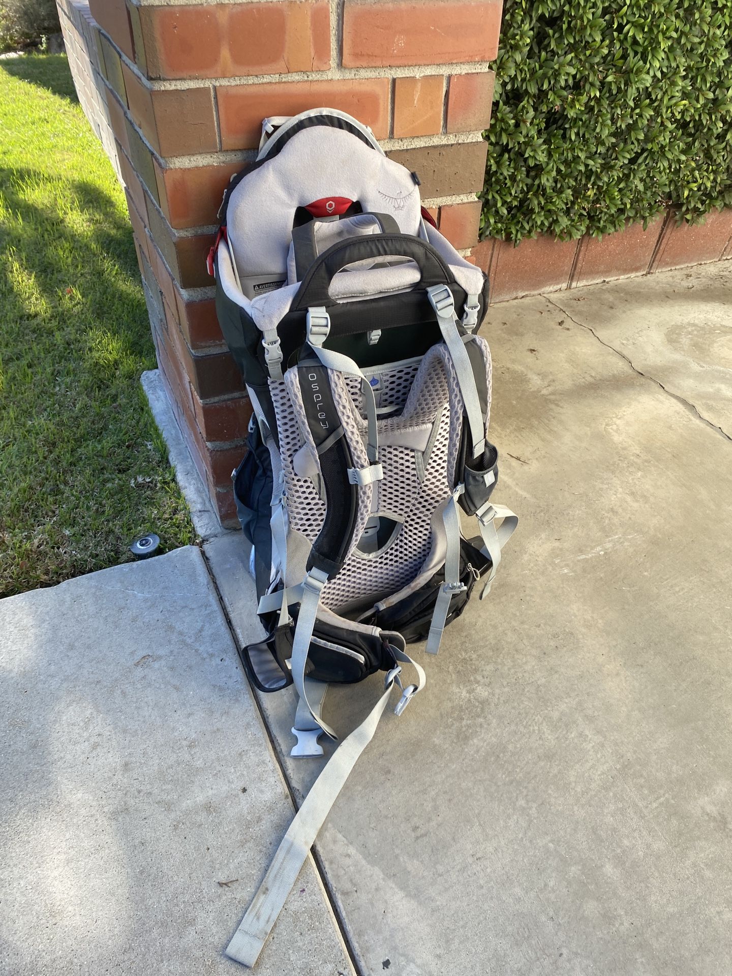 Osprey Poco Child Carrier 