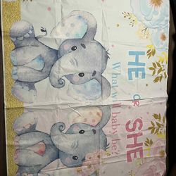 Take All For $25Boy Girl Popper Confetti And Backdrop
