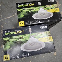 2 Grow Lights