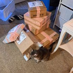 I SHlP lTEM$ from SW Portland, Bulk Post Here!