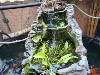 $1,999 - Complete Koi Pond Set-up!!