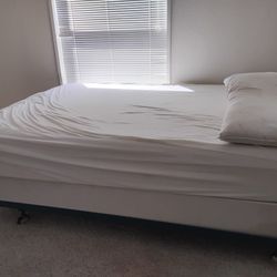 Free Bed