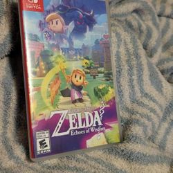 Legend of Zelda Echoes Of Wisdom 