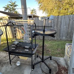 Outdoor Bird Perches