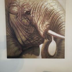 Large Elehant Canvas