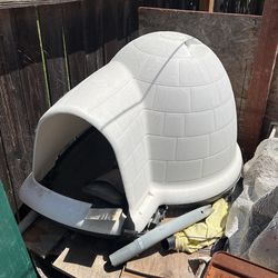 Dog House