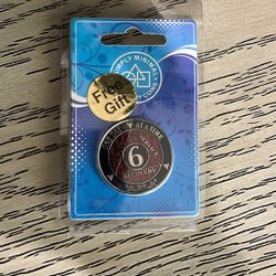 6 Year AA Recovery Chip