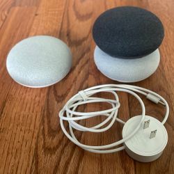 Google Minis - Nest Mini And Home Mini