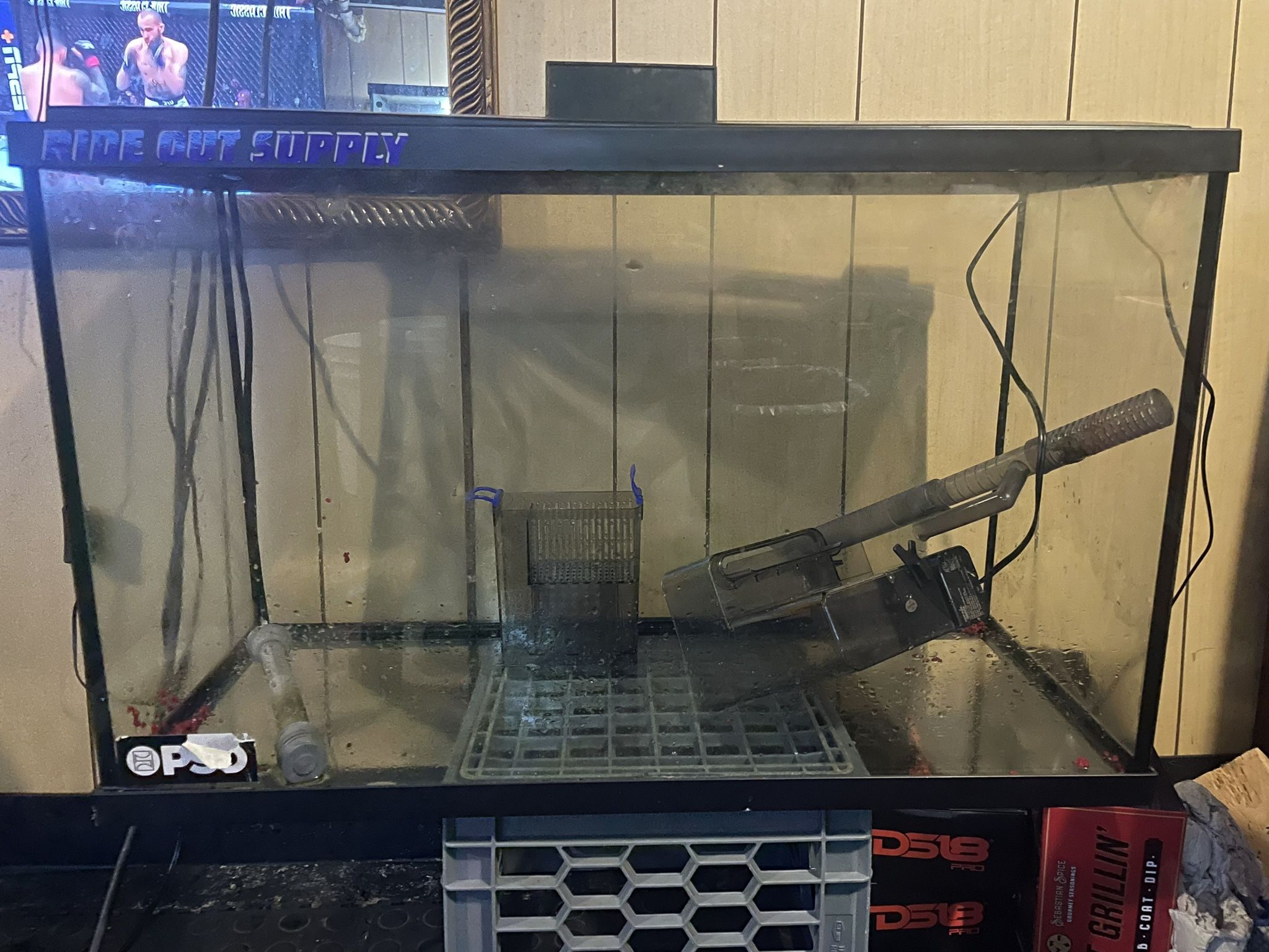29 gallon fish tank