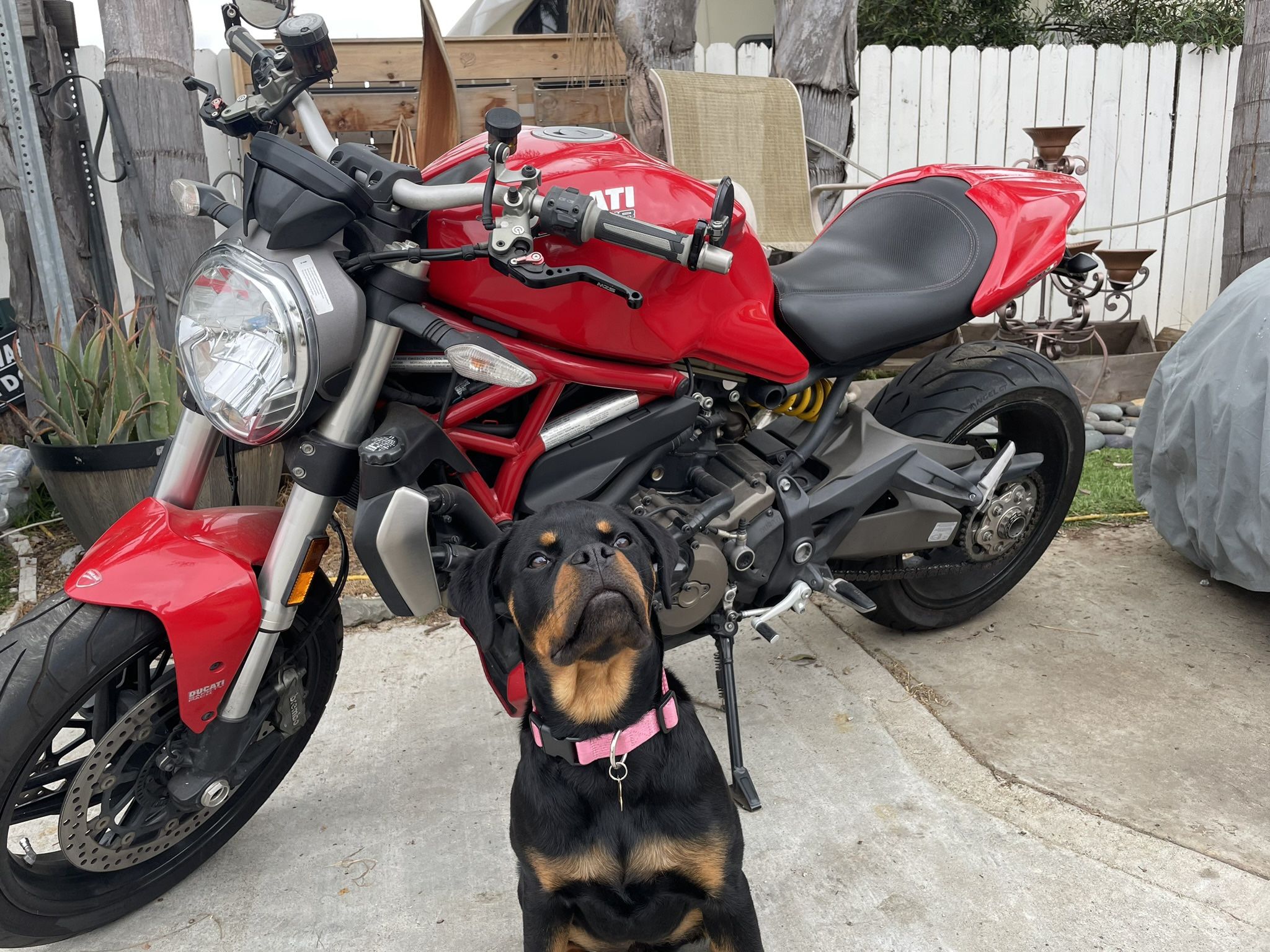 Ducati Monster 1200