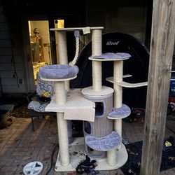 Cat Tower