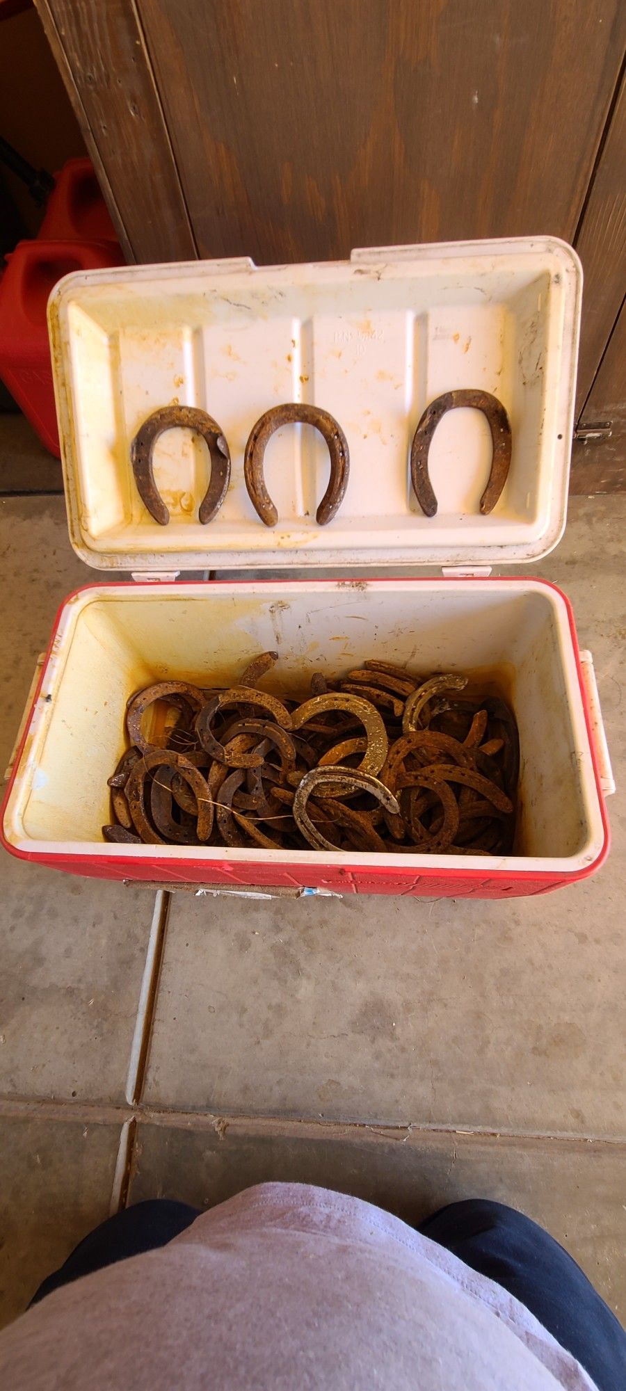 horshoe
