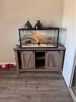Reptile Terrarium