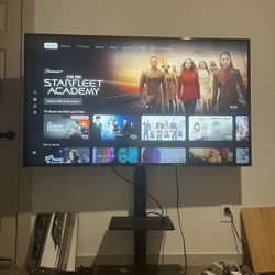 4K 65” LG TV with stand(remote Mouse functions)