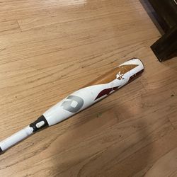 Baseball Bat