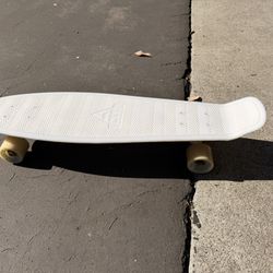 22” Swell Skateboard 
