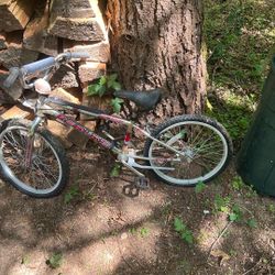 Boys Red Line Bmx Bicycle