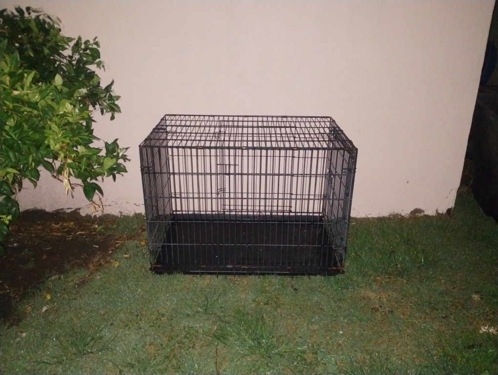 DOG " JAULA"  KENNEL 