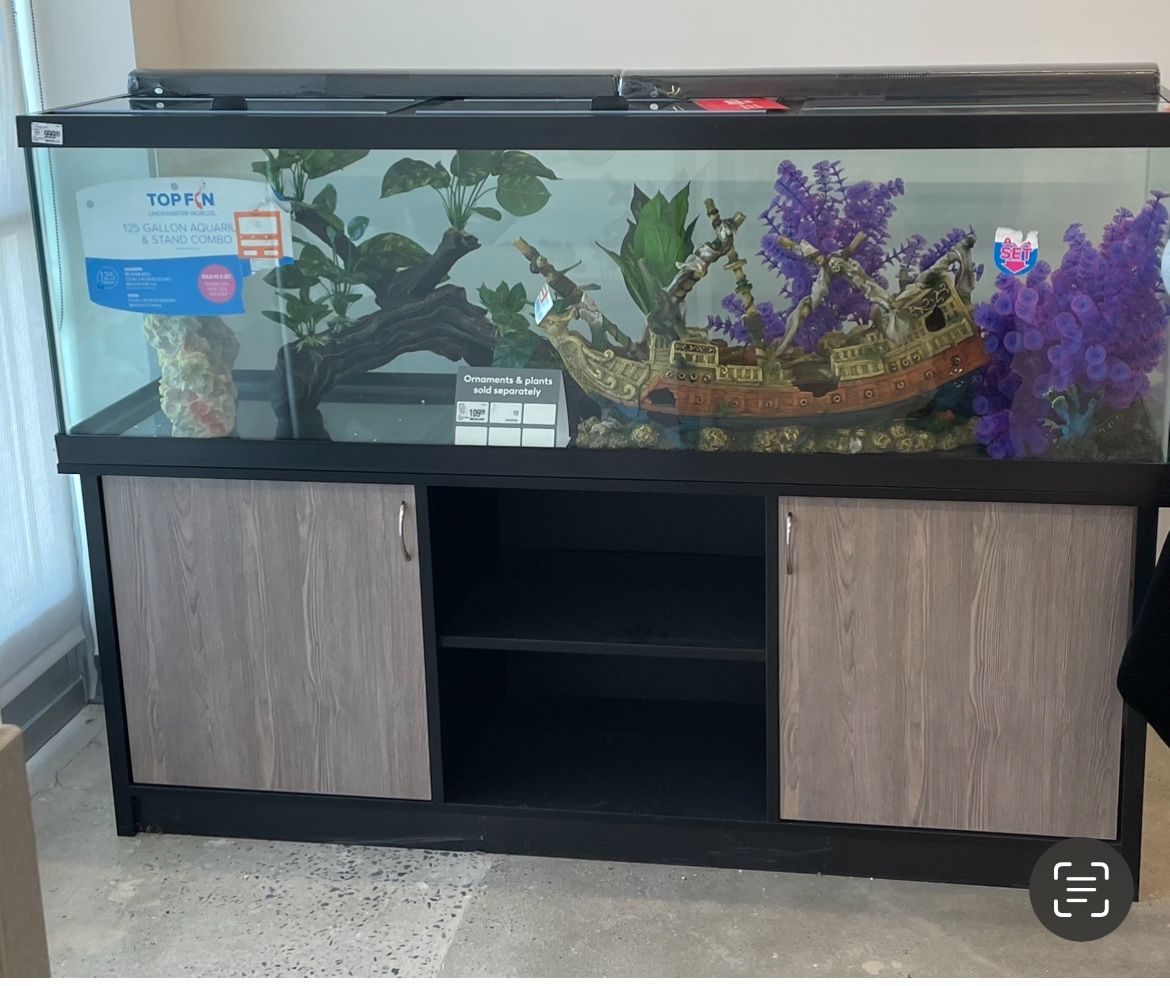 Fish Tank