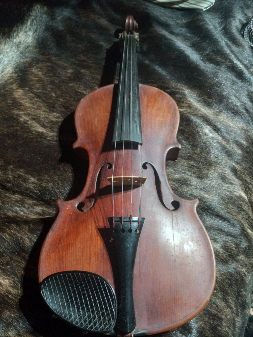 Violin