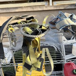 Safety harness
