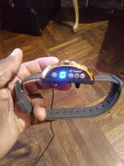 2. A + Trainer. Bluetooth type for dogs