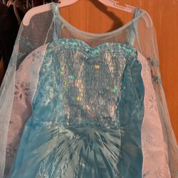 5/6 Disney Park Elsa Dress