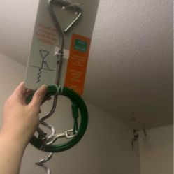 New Dog Stake For Yard 