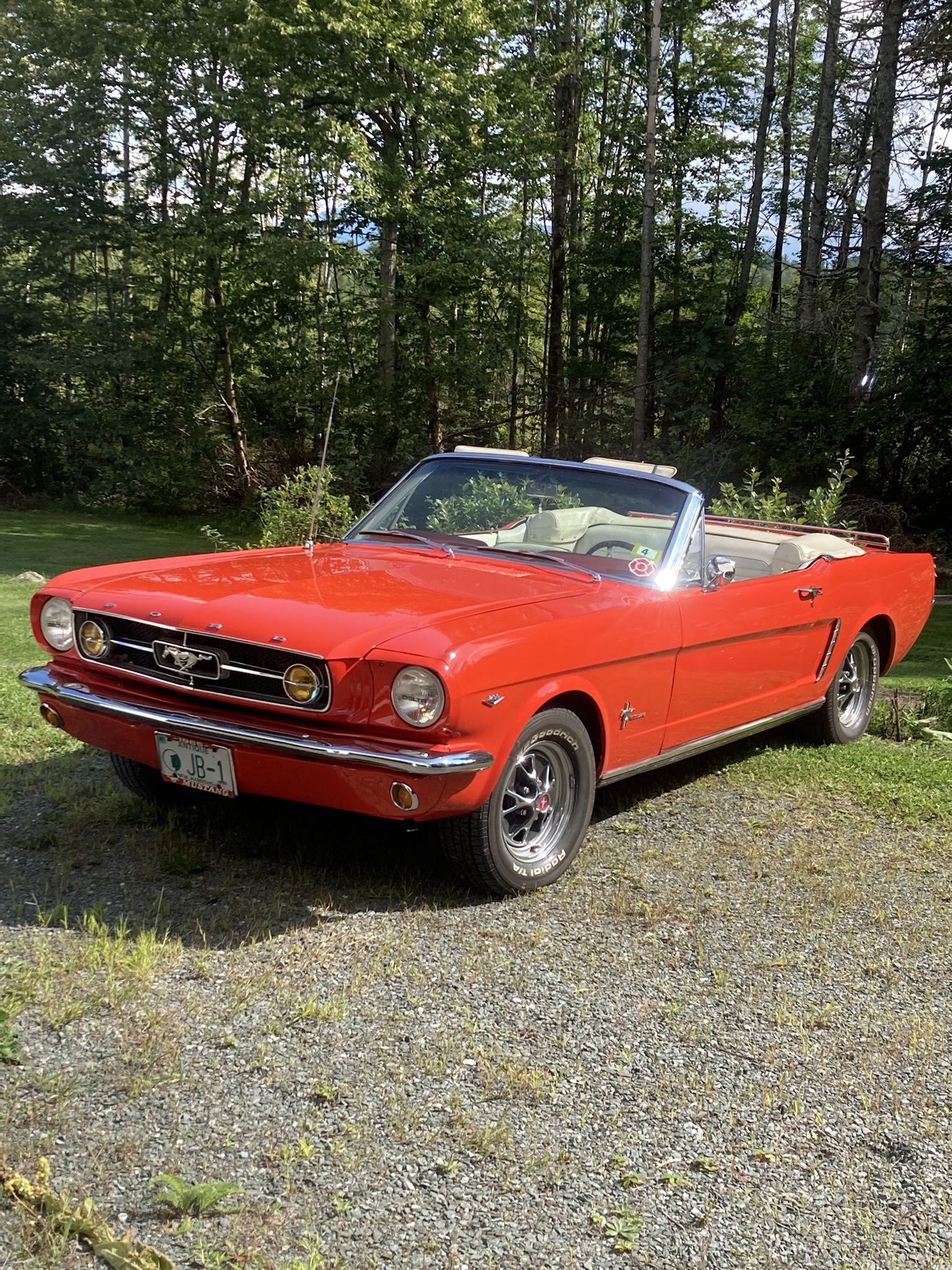 1965 Ford Mustang