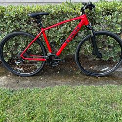 Trek Dual Sport 2 Hybrid Bike Size XL with 700x40 tires