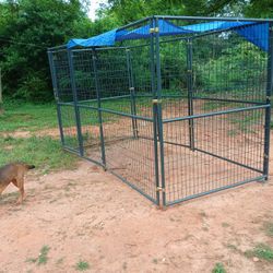Outdoor Metal Dog Kennel Woth Canopy 