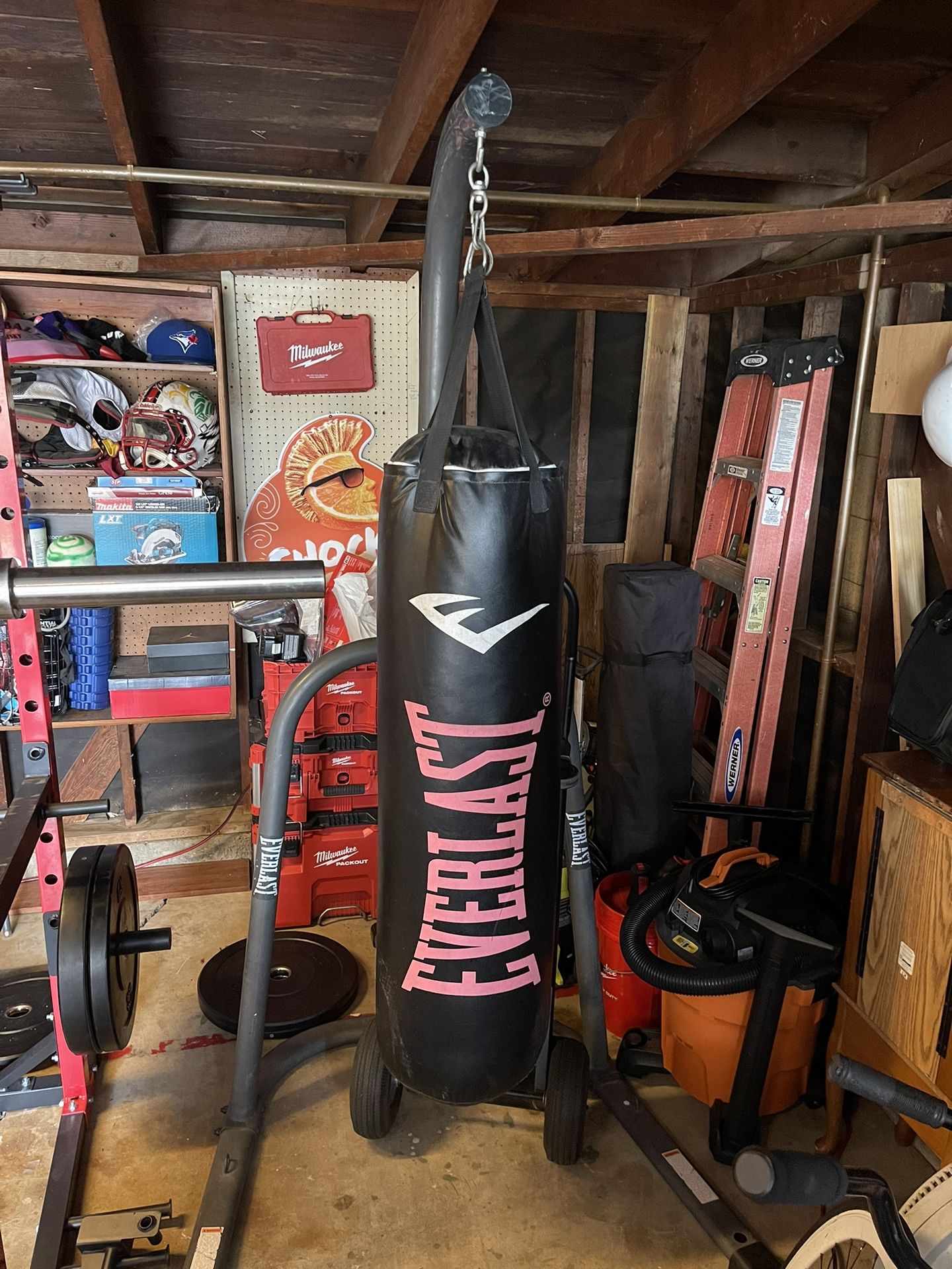 Punching Bag Everlast