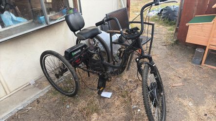 Customize trike