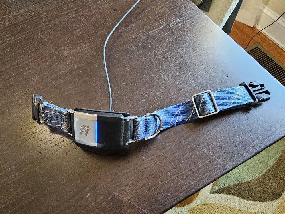 FI GPS Dog Collar Series 2
