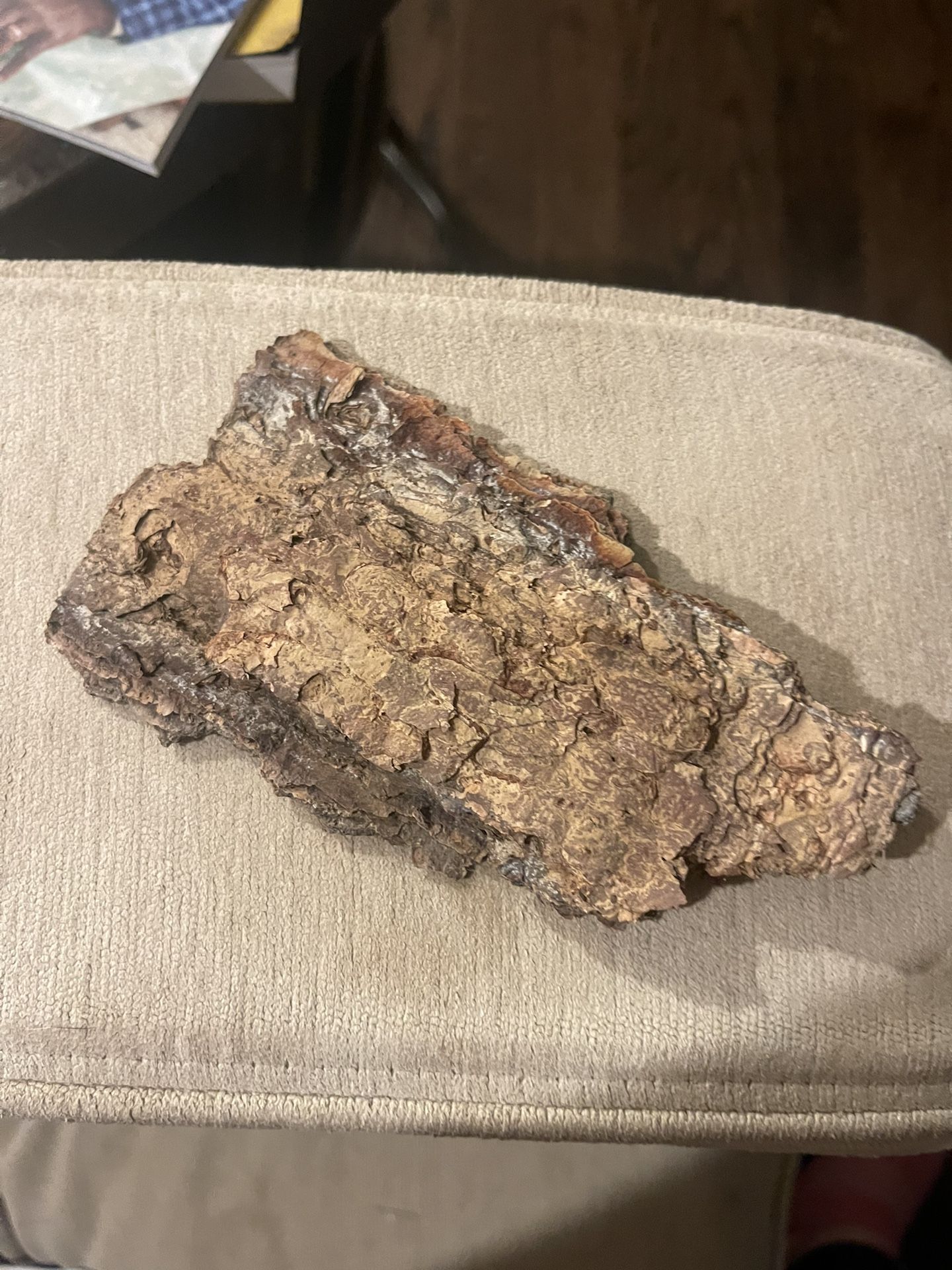 Tree Bark