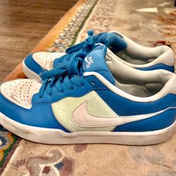 Nike SB Force 58 Shoes