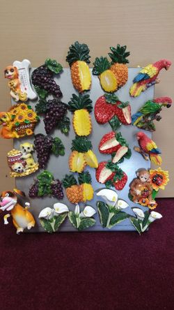 Refrigerator / Fridge Magnet ( new ) $2.99 = 1. pineapple, grapes, floral, dog, parrot, monkey.