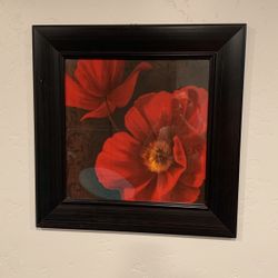 Frames 
