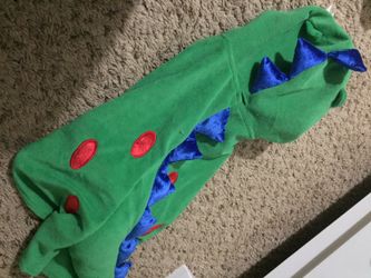 Dragon Dog Costume