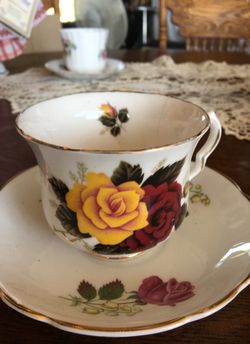Bone China cup and saucer
