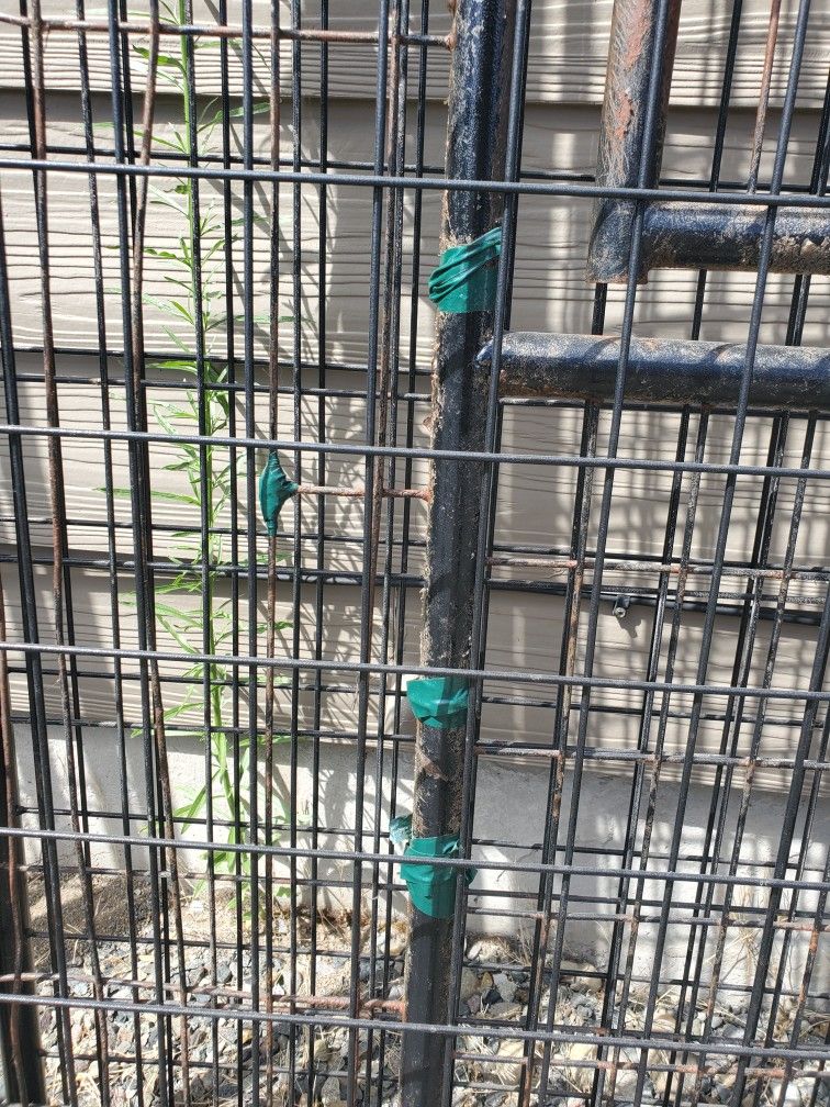 FREE Costco 10X5 Dog Crate for Sale in Graham, WA OfferUp