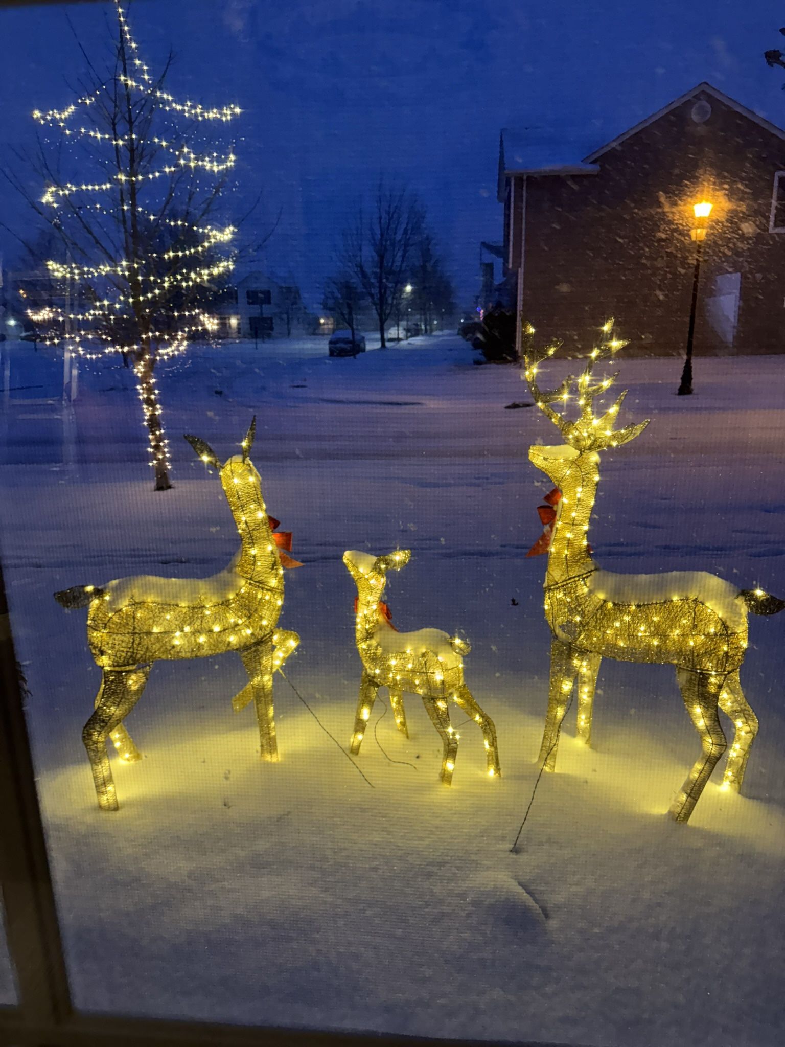 Christmas Decor - Deer Family Pre-lit