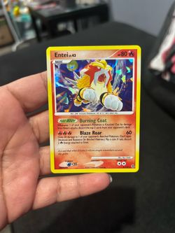 ENTEI (SW)