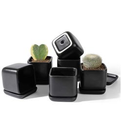 New in box Square Succulent Plant Pot - 3.5 Inch Matte Black Ceramic Small Planters for Cactus Succulent with Drainage Hole & Saucer, Set of 6