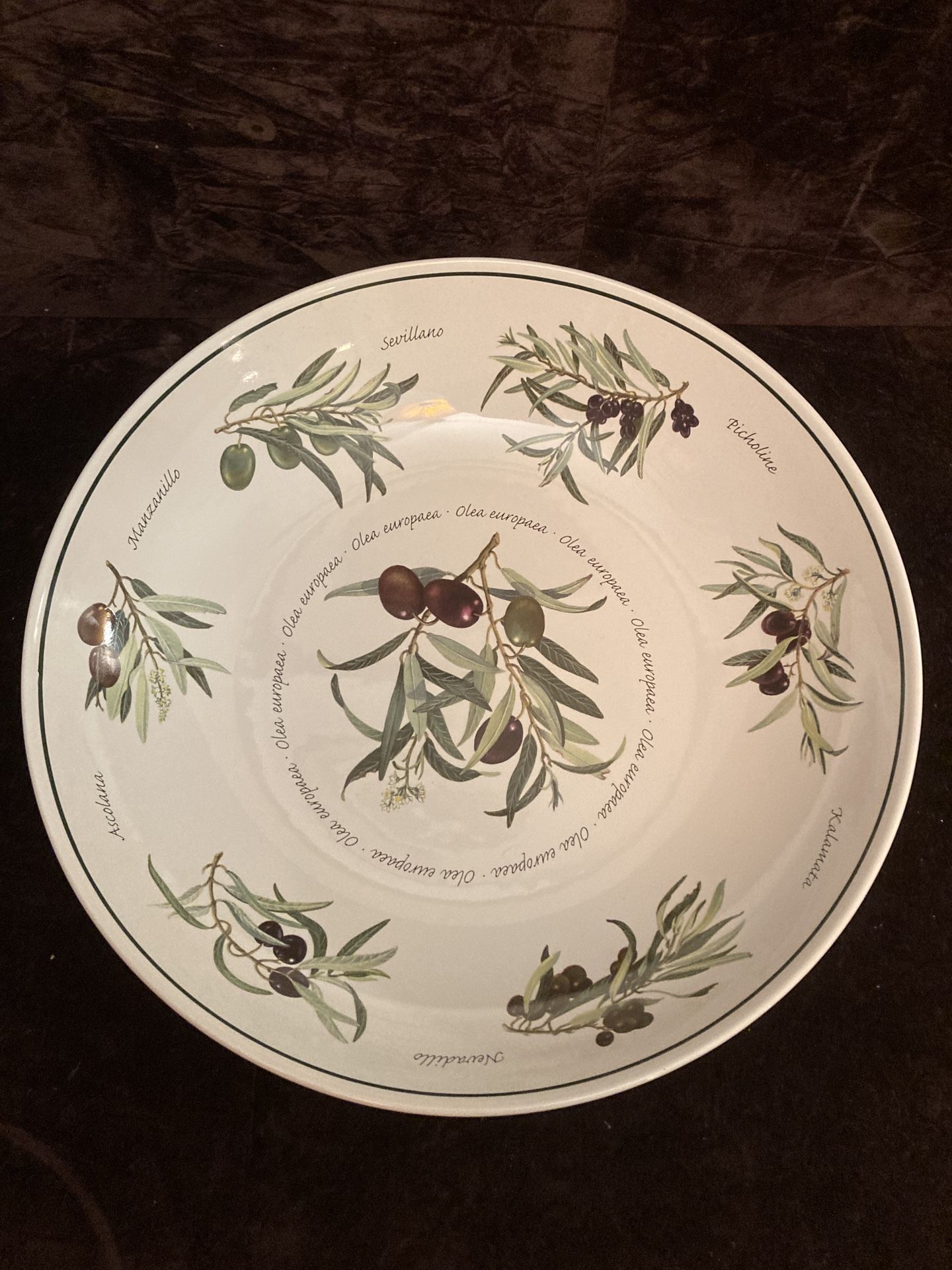 Williams Sonoma 13” Serving Bowl