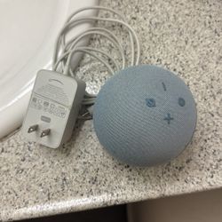 Echo Dot