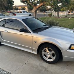 2004 Limited Edition 40th Anniversary Mustang 