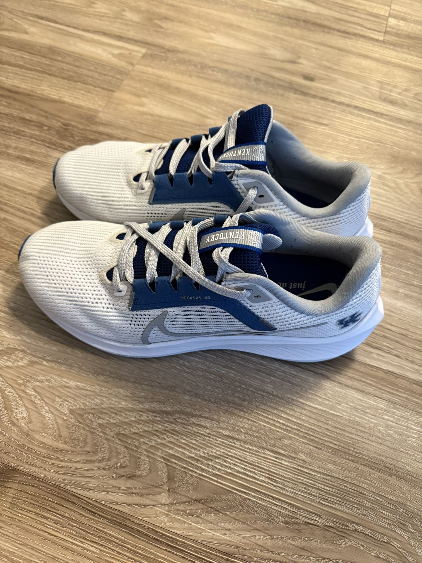 University Of Kentucky Nike Zoom Pegasus 40 Size